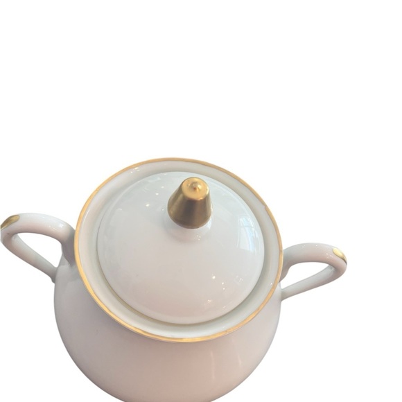 Vintage Large Limoges Rose Botanical Cream and Sugar Set - Picture 6 of 13